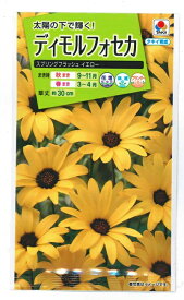 花種子 ディモルフォセカ「スプリングフラッシュイエロー」2ml（タキイ種苗）【送料込み】
