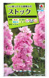 花種子 ストック「クリスマス ピンク」0.5ml（タキイ種苗）【送料込み】紫羅欄花 アラセイトウ あらせいとう FST135