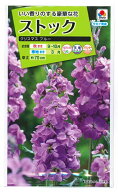 花種子 ストック「クリスマス ブルー」0.5ml（タキイ種苗）【送料込み】 紫羅欄花 アラセイトウ あらせい…
