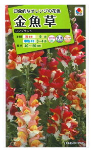 Ԏq uugv0.05mli^LCcjy݁zLM\E^XibvhS^Aei