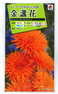 Ԏq ᵉԁuIW |[LpCv5mli^LCcjy݁z LZJ 񂹂 JW Jf |bgE}[S[h FKNA43