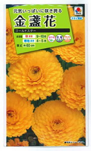 Ԏq ᵉԁuS[hX^[v5mli^LCcjy݁z LZJ 񂹂 JW Jf |bgE}[S[h FKN201