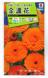 Ԏq ᵉԁuIWX^[v5mli^LCcjy݁zLZJ 񂹂 JW Jf |bgE}[S[h FKN202