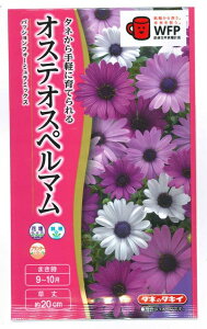 Ԏq IXeIXy}upbVtH[~[~bNXv 10i^LCcjy݁zAtJLZJ AtJf[W[ FOM301