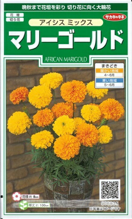 楽天市場 花種子 サカタのタネ マリーゴールド アイシスミックス １ｍｌ袋詰 送料込み 鈴乃園 楽天市場店