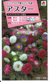 【在庫限り】花種子 アスター「ポットアンドパティオ混合」 50粒（タキイ種苗）【送料込み】 蝦夷菊 エゾギク 薩摩菊 サツマギク FAS719