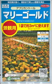 楽天市場 アフリカン トール マリー ゴールドの通販
