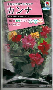 ylCizԎq JiugsJ T}[~bNXv 5mli^LCcjy݁z gsJT}[~bNX Ԃ niJi d _gN ܉ l FCA119