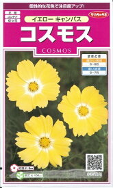 楽天市場 コスモス 切り花の通販 楽天市場 コスモス 切り花の通販