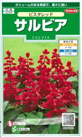 花種子 サルビア「ビスタレッド」　 25粒（サカタのタネ）　【送料込み】セージ／緋衣草／ひいそう／ヒイソウ