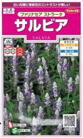 花種子 サルビア「ファリナセア ストラータ」　0.2ml（約50本分）（サカタのタネ）　【送料込み】ファリナセアストラータ ブルーサルビア セージ 緋衣草 ひいそう ヒイソウ