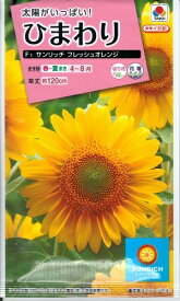 花種子 ひまわり「サンリッチ フレッシュオレンジ」　2.5ml（約10本分）（タキイ種苗）　【送料込み】向日葵／ヒマワリ