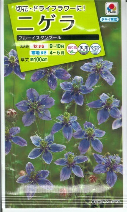 楽天市場 花種子 タキイ種苗 ニゲラ種子 ブルーイスタンブール 1ml袋詰 約90本分 送料込み 鈴乃園 楽天市場店 楽天市場 花種子 タキイ種苗 ニゲラ種子 ブルーイスタンブール 1ml袋詰 約90本分 送料込み 鈴乃園 楽天市場店