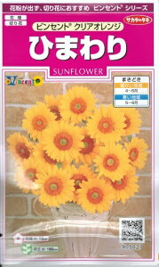 切り花 ひまわり 種の人気商品 通販 価格比較 価格 Com 切り花 ひまわり 種の人気商品 通販 価格比較 価格 Com