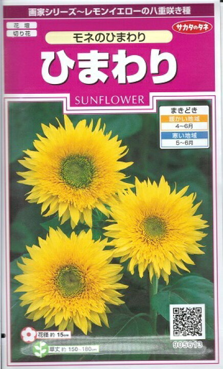 楽天市場 花種子 サカタのタネ ひまわり モネのひまわり １ｍｌ袋詰 約8本分 送料込み 鈴乃園 楽天市場店