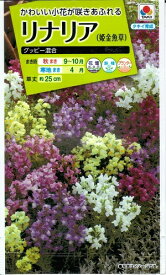 楽天市場 リナリア花の通販