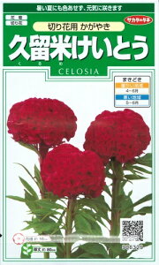 Ԏq vĂƂu؂ԗp ₫v@0.2mli100{jiTJ^̃^ljy݁zZVA { gTJPCgE { PCJJ {q PCJV v[hRbNXR