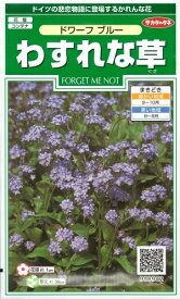 花種子 わすれな草「ドワーフブルー」　0.2ml（約80本分）（サカタのタネ）　【送料込み】勿忘草／ワスレナグサ／忘れな草