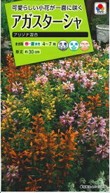 花種子 アガスターシャ「アリゾナ混合」　 20粒（タキイ種苗）　【送料込み】 アガスターシェ／アニスヒソップ／アニヒソップ／アガスタケ