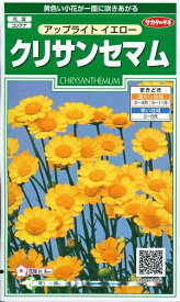 花種子 クリサンセマム「アップライトイエロー」　0.5ml（約30本分）（サカタのタネ）　【送料込み】