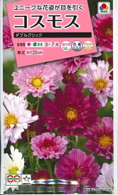 花種子　『タキイ種苗』　コスモス　ダブルクリック　2，5ml袋詰　【送料込み】　約60本分