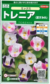 花種子　『サカタのタネ』　トレニア　ミックス　(夏すみれ)　0，05ml袋詰　【送料込み】