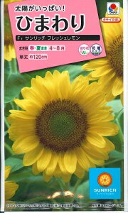 Ԏq Ђ܂uTb` tbVv@2mli^LCcj@y݁z q} FHM521