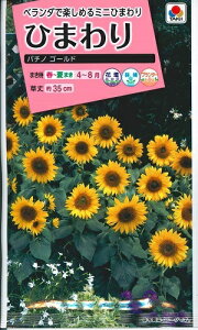 Ԏq Ђ܂up`mS[hv@2mli^LCcj@y݁z q} FHM314