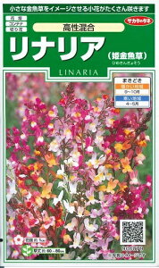 Ԏq iAiPjuv@0.1mliTJ^̃^lj@y݁z