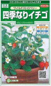 【人気品種】花種子 四季なりイチゴ「ワイルドストロベリ−」 0.1ml（サカタのタネ）【送料込み】