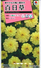 花種子 百日草「ザハラ ダブルイエロー」　20粒（タキイ種苗）【送料込み】ジニア ヒャクニチソウ 浦島草 ウラシマソウ 長久草 チョウキュウソウ FZN835