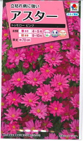 花種子 アスター「トゥモロー ピンク」　 0.3ml（タキイ種苗）　【送料込み】　 蝦夷菊／エゾギク／薩摩菊／サツマギク／家庭菜園