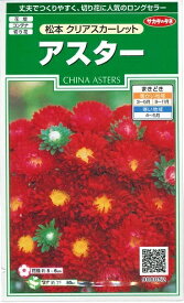 花種子　アスターたね　『サカタのタネ』　アスター　松本クリアスカーレット　1ml袋詰　【送料込み】　約100本分　家庭菜園