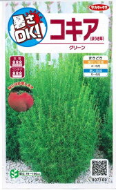 花種子　ほうき草たね　『サカタのタネ』　コキア　グリーン　0.2ml袋詰　【送料込み】