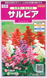 花種子 サルビア「シズラー ミックス」0.3ml（サカタのタネ）【送料込み】 シズラーミックス セージ 緋衣草 ひいそう ヒイソウ 花壇 コンテナ
