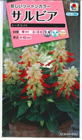 花種子　サルビアたね　『タキイ種苗』　サルビア　トーチライト　0.4ml袋詰　【送料込み】　約25本分　花壇　鉢植え　プランター