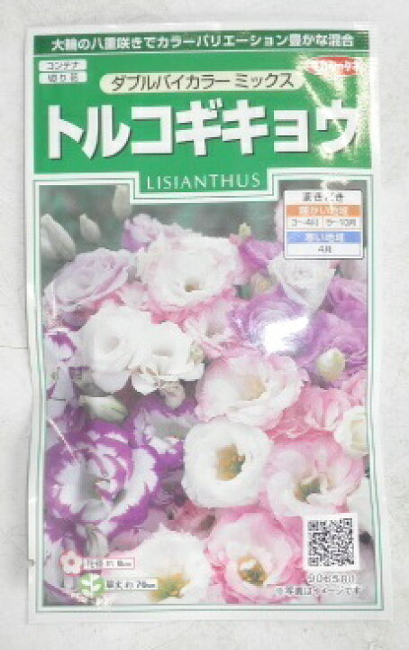 世界的に有名な サカタのタネ 実咲花6580 トルコギキョウダブルバイカラーミックス 00906580