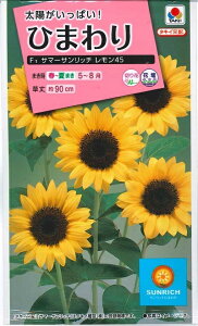 Ԏq Ђ܂uT}[Tb` 45v@2mli10{ji^LCcj@y݁z@ q} FHM517