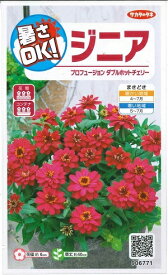 野菜種子　ジニアたね　『サカタのタネ』　プロフュージョンダブルホットチェリー　0.2ml袋詰　【送料込み】　百日草　約7本分　PVP品種名：SAKZIN014　海外持出禁止(農林水産大臣公示有)