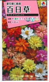 花種子 百日草「ザハラ ダブルミックス」20粒（タキイ種苗）【送料込み】 ザハラダブルミックス ジニア ひゃくにちそう ヒャクニチソウ 花壇 鉢植え プランター