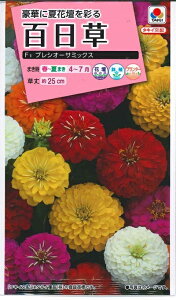 Ԏq SuvVI[T ~bNXv@1mli10{ji^LCcj@y݁z@WjA qNj`\E Y EV}\E v `ELE\E FZN590