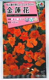 花種子 金蓮花「ベイビ－オレンジ」　30粒（タキイ種苗）【送料込み】 ナスタチウム ナスタチュ−ム きんれんか キンレンカ ノウゼンハレン