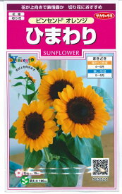 花種子 ひまわり「ビンセント オレンジ」 15粒（サカタのタネ）　【送料込み】 向日葵／ヒマワリ