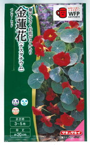 ylCizԎq @ԁuxCr[ bhv@30i^LCcjy݁z iX^`E iX^`| LJ mE[n FKRA66