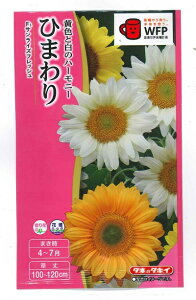 Ԏq Ђ܂uTCYtbVv2mli10{ji^LCcjy݁z q} IW  zCg FHM452