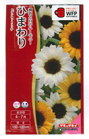 花種子 ひまわり「サンセットリッチ」2ml（タキイ種苗）【送料込み】向日葵 ヒマワリ FHM451 オレンジ レモン ホワイト