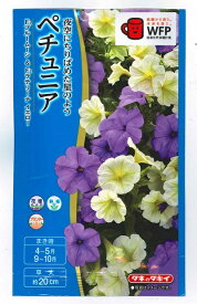 花種子 ペチュニア「ブルームーン＆ラテリーナ イエロー」 30粒（タキイ種苗）【送料込み】衝羽根朝顔 ツクバネアサガオ FPT610
