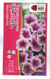 花種子 ペチュニア「ラテリーナ ラズベリーアイス」30粒（タキイ種苗）【送料込み】 ラテリーナラズベリーアイス 衝羽根朝顔 ツクバネアサガオ