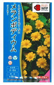 花種子 メランポディウム「ジャックポット」 30粒（タキイ種苗）【送料込み】メランポジウム メランポジューム ミリオンゴールド FML125