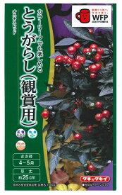 【新発売】花種子 とうがらし（観賞用）「オニキスレッド」 10粒（タキイ種苗）【送料込み】